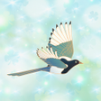 プログラムのアイコン：BirdAscendDescendPlay