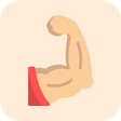程序图标：Huge Arms Workout Guide