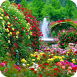 Programikonen: 100Garden Wallpaper