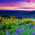 Programikonen: HD Wallpapers Offline