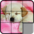 Programikonen: Sliding Puzzle Dogs