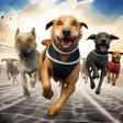 Dog Racing - Dog race Simulator - Pet Racing game
