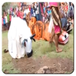 程序图标：Barongan Janturan Ebeg