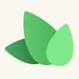 Icono de programa: Ivy Flip