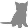 程序图标：Auto kittens