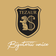 Programikonen: Tezaur Shop