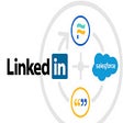 أيقونة البرنامج: Salesflags: Integrating L…