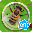程序图标：AH Insecten