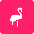 Programikonen: Flamingo Scooters