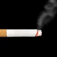 Ikon program: Smoking Simulator