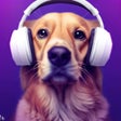 Icoon van programma: Sway - Music Radio