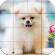 Tile Puzzle Pomeranian Dogs icon