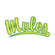 プログラムのアイコン：Leilehua High School