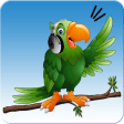 Parrot Speech - Teach Parrot to talk, Mimic Sound