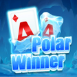 ไอคอนของโปรแกรม: PolarWinner Solitaire