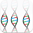 Programikonen: DNA Replication
