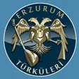 Иконка программы: Erzurum Türküleri İnterne…