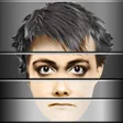 程序图标：Identikit