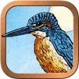 Programikonen: Animal Totem Tarot