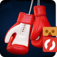 プログラムのアイコン：Box Fighter VR