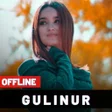 プログラムのアイコン：Gulinur qoshiqlari 2021