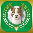 Icon of program: 旧版書籍用ターゲットの友1400　英単語アプリ