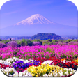 程序图标：Beautiful Spring Wallpape…