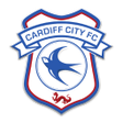 프로그램 아이콘: Cardiff City