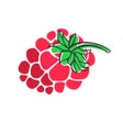 Biểu tượng của chương trình: Imberryfit