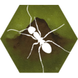 أيقونة البرنامج: Finally Ants