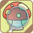 Programikonen: Automatic Mushroom Identi…