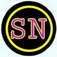 Programikonen: SN TUNNEL VPN