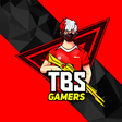 程序图标：TBS SPIN GAME