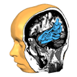 Ícone do programa: Brain Tutor 3D