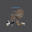 Icono de programa: Learn Animals and Birds i…
