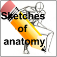 プログラムのアイコン：Sketches of anatomy