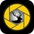 Programikonen: TrailCam Link