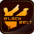 Icon of program: Taekwon-Do ITF Patterns W…