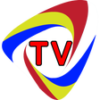 Ícone do programa: TVRO Online