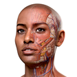 Ícone do programa: Complete Anatomy 2021