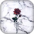 Programikonen: Marble Wallpaper