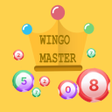 프로그램 아이콘: Wingo Master calculator