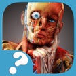 ไอคอนของโปรแกรม: Тело человека. Викторина