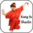 プログラムのアイコン：Learn kung fu