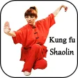 Learn kung fu