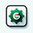 Programın simgesi: Meet Auto Start Recording