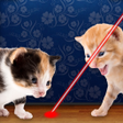 Icoon van programma: Laser Pointer for Cat