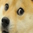 Programikonen: libdoge