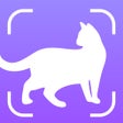 Programikonen: Cat Scanner : Breed Ident…