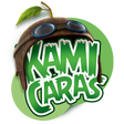 プログラムのアイコン：Kamicaras®